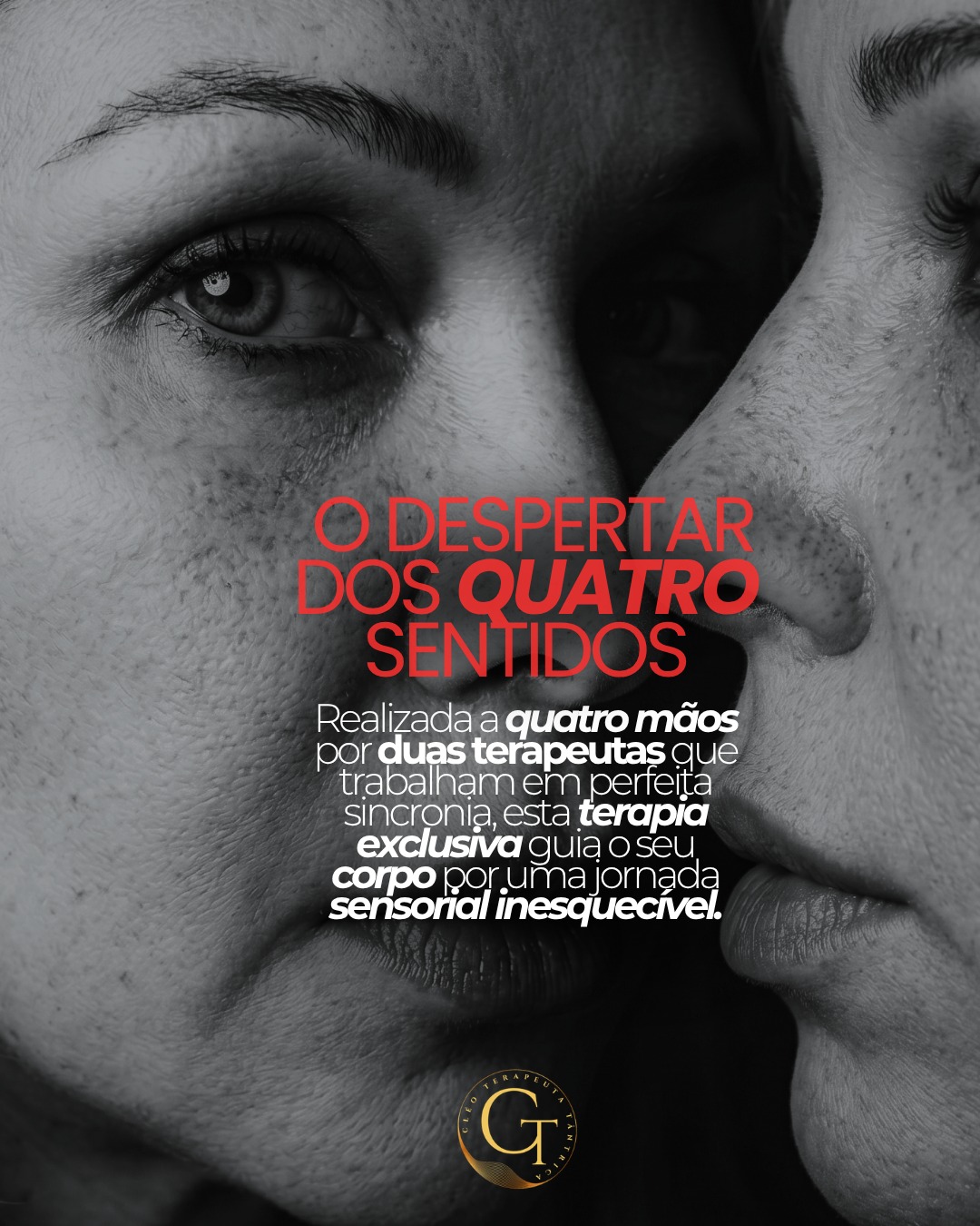  O Despertar dos Quatro Sentidos